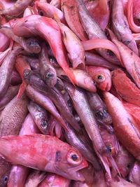 Full frame shot of fish for sale in market