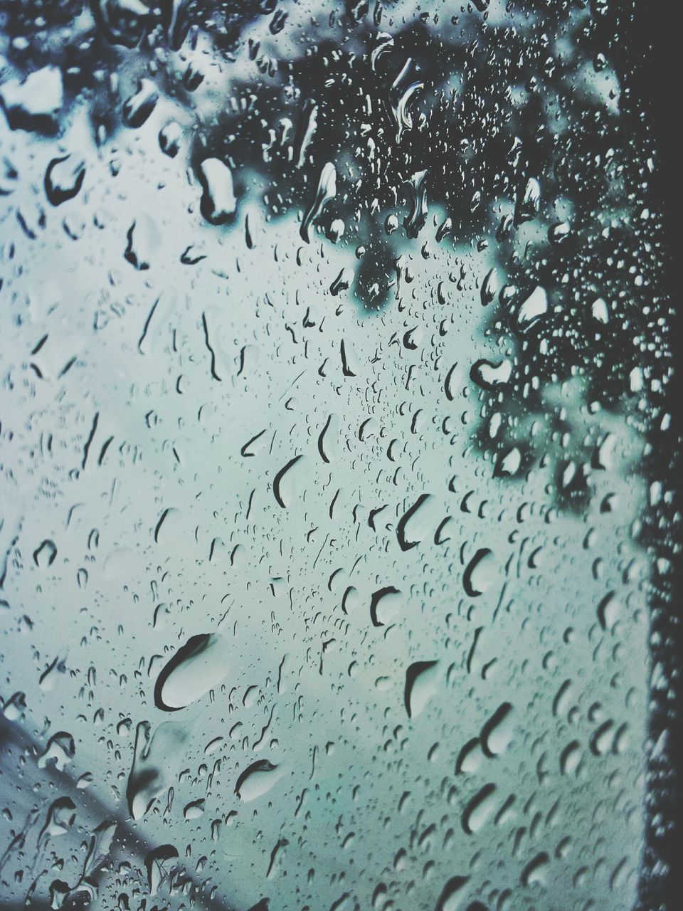 drop, wet, window, water, rain, indoors, transparent, glass - material, full frame, raindrop, backgrounds, weather, season, glass, close-up, focus on foreground, sky, water drop, droplet, no people