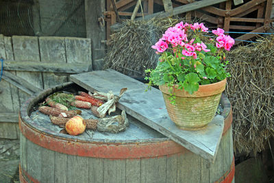 Potted flowers in pot