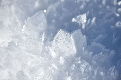 Close-up of snowflakes