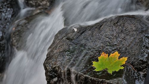 Scenic view of waterfall