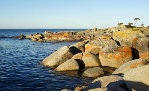 Rocks on sea shore against clear sky