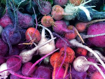 Full frame shot of beetroots