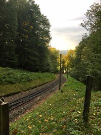 Railroad track amidst trees against sky