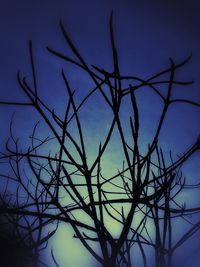 Low angle view of bare tree against blue sky