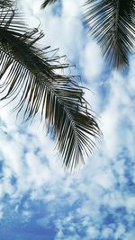 Low angle view of tree against sky