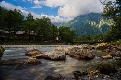 Scenic view of river by trees against sky