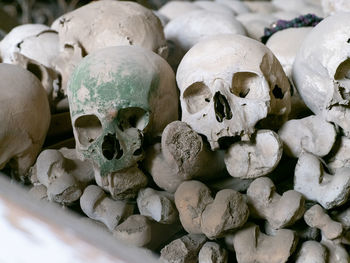 Close-up of human skull