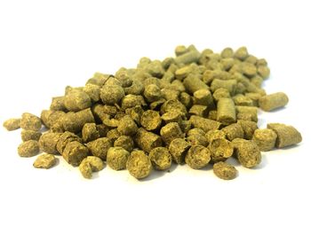 Close-up of white background