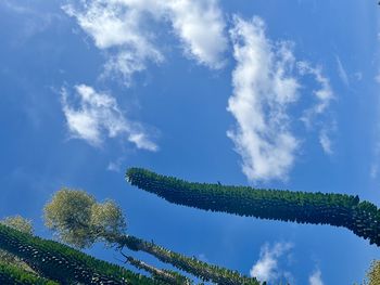 sky