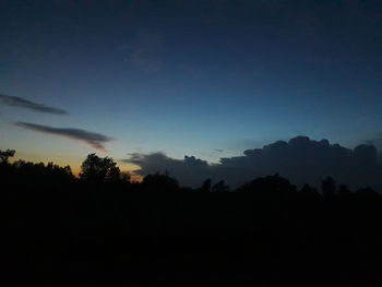 Silhouette trees against clear sky during sunset