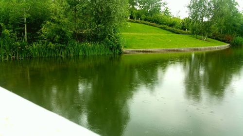 Scenic view of lake by trees