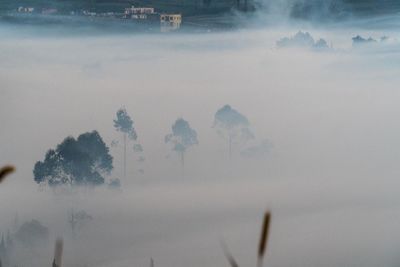 Scenic view of field against sky during winter