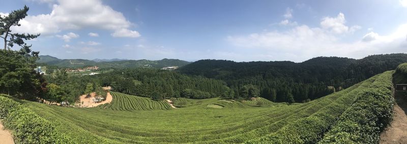 Panoramic view of agricultural field against sky