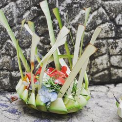 Close-up of flower bouquet