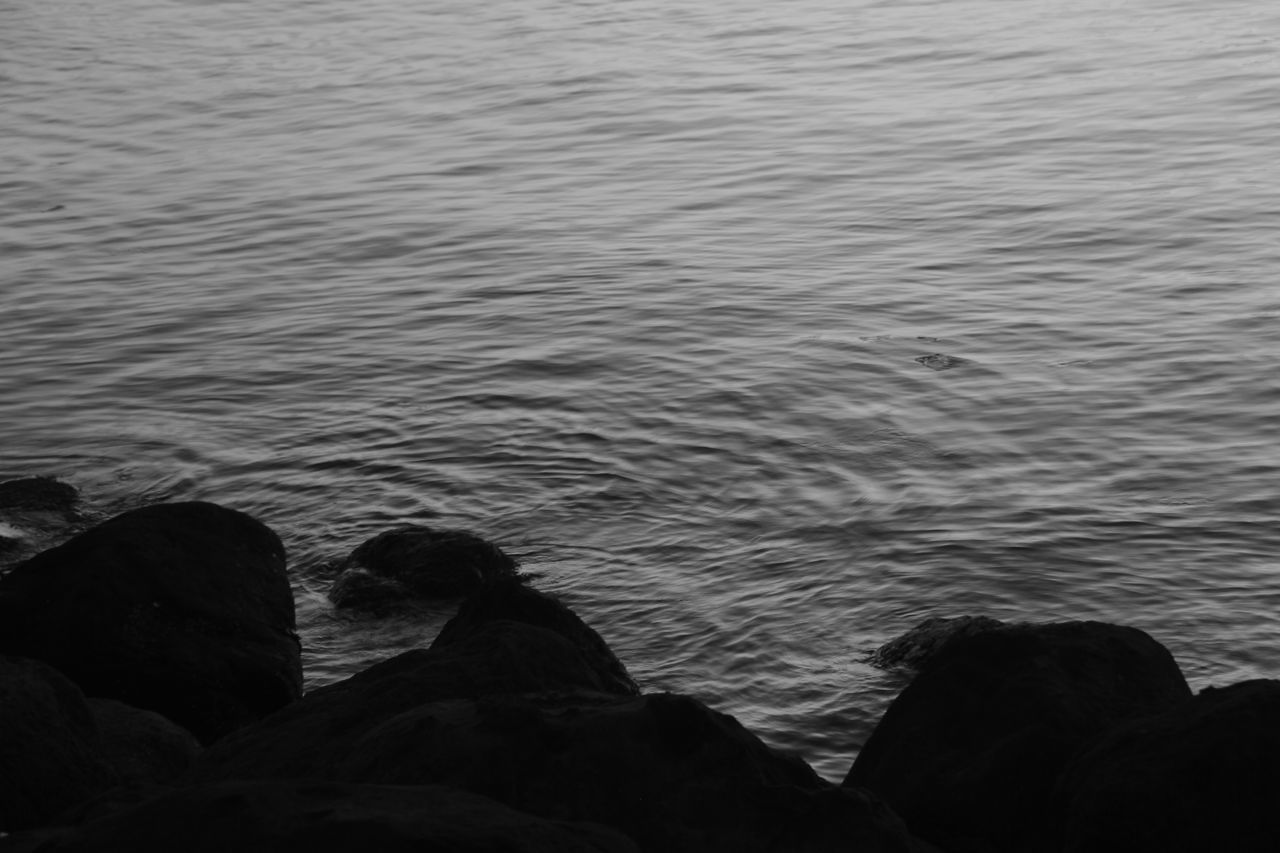 water, nature, rippled, lake, beauty in nature, tranquility, day, outdoors, no people, scenics, pebble beach