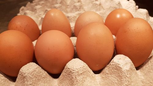 Close-up of eggs in container