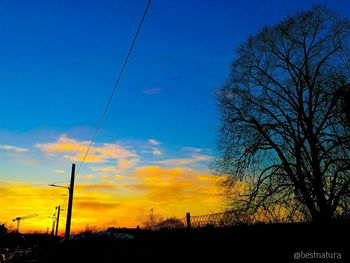 Low angle view of silhouette trees against sky during sunset