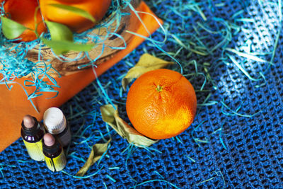 High angle view of orange fruits on plant
