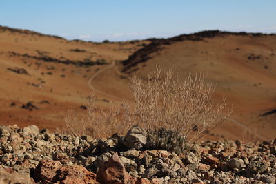 View of desert against clear sky