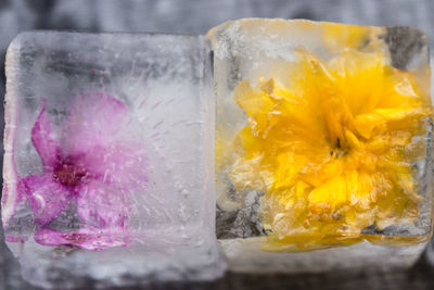 Close-up of ice cream in glass