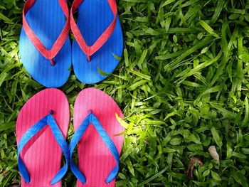 Photo of colorful rubber slippers or flip flops on fresh green grass