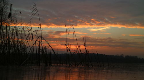 Silhouette horse by lake against sky during sunset