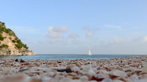 Scenic view of beach against clear sky