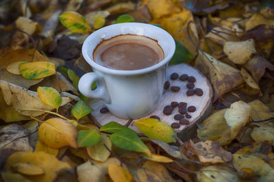 Close-up of coffee cup on tree stump amidst leaves