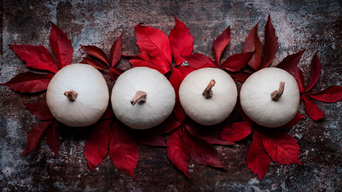 Selection of white pumpkins and fallen leaves on dark metal background. autumn holiday still life.