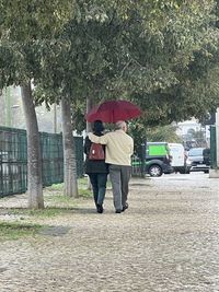 umbrella
