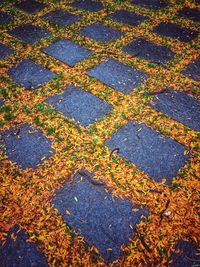 Full frame shot of multi colored pattern