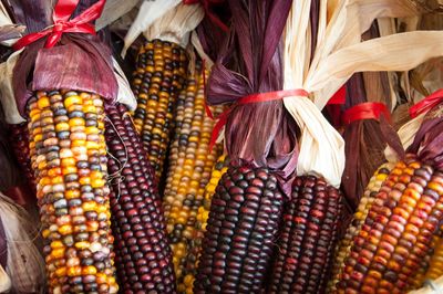Full frame shot of dry corns for sale in market