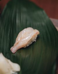 Close-up of sushi in leaf
