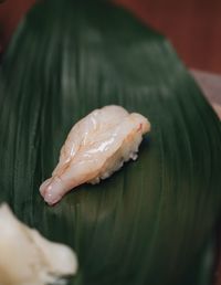Close-up of sushi