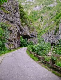 Road amidst trees