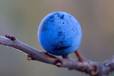 Close-up of water against blue sky