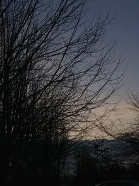 Low angle view of silhouette bare trees against sky at sunset