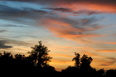 Low angle view of silhouette trees against dramatic sky