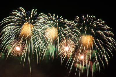 Low angle view of firework display at night