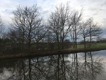 Reflection of bare trees in lake against sky