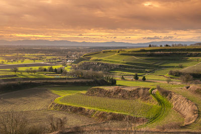 Scenic view of agricultural field against sky during sunset