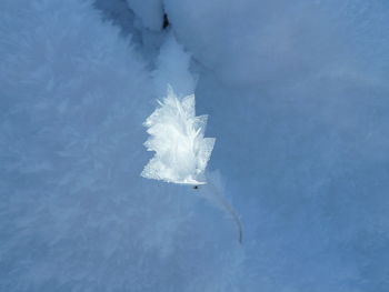 Close-up of frozen water against blue sky