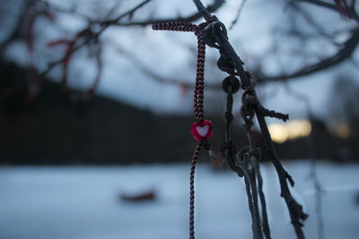 Close-up of chain hanging outdoors