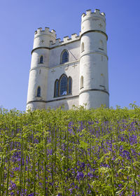 Low angle view of plants against blue sky