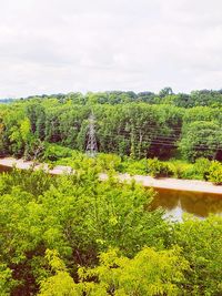 Scenic view of trees by lake against sky