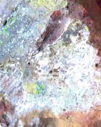 Close-up of rock formation