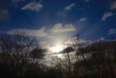 Low angle view of bare trees against sky