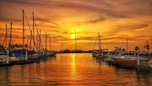 Sailboats in marina at sunset