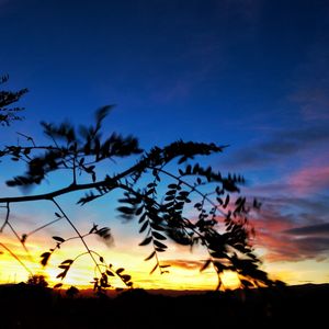 Low angle view of silhouette trees against sky during sunset